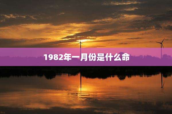 1982年一月份是什么命