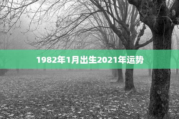 1982年1月出生2021年运势