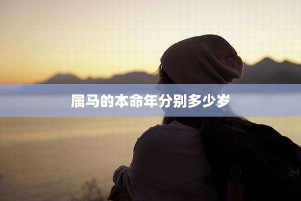 属马的本命年分别多少岁