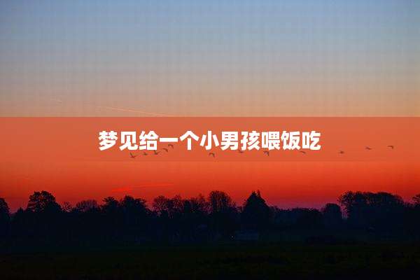 梦见给一个小男孩喂饭吃