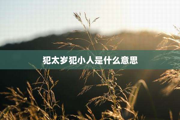 犯太岁犯小人是什么意思