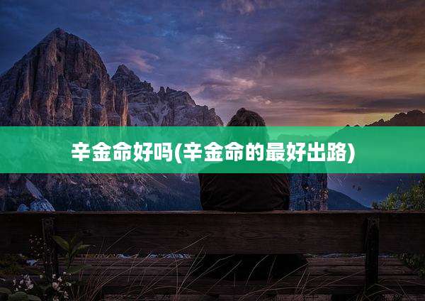 辛金命好吗(辛金命的最好出路)