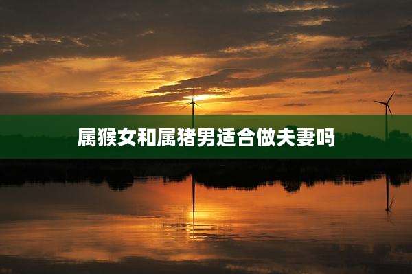 属猴女和属猪男适合做夫妻吗