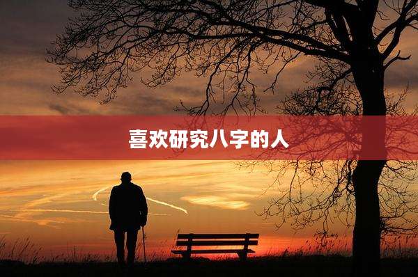 喜欢研究八字的人