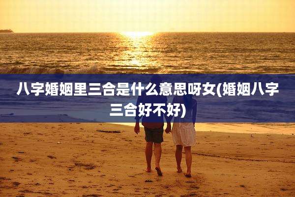 八字婚姻里三合是什么意思呀女(婚姻八字三合好不好)