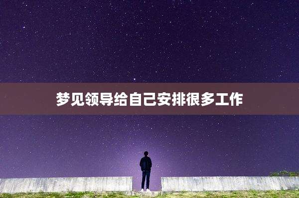 梦见领导给自己安排很多工作