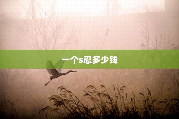 一个s忍多少钱