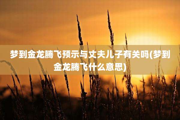 梦到金龙腾飞预示与丈夫儿子有关吗(梦到金龙腾飞什么意思)
