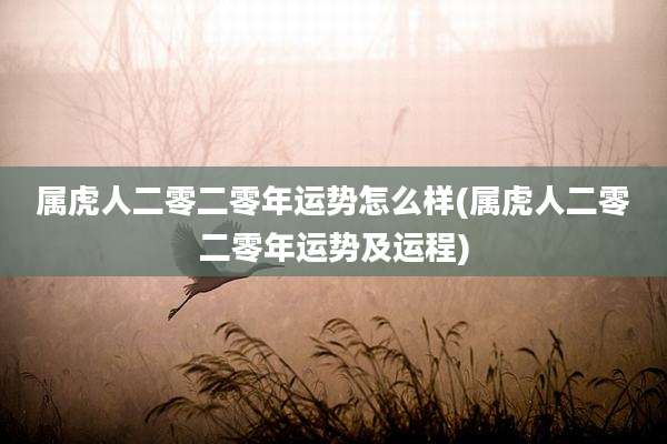 属虎人二零二零年运势怎么样(属虎人二零二零年运势及运程)