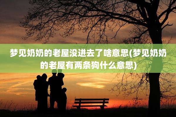 梦见奶奶的老屋没进去了啥意思(梦见奶奶的老屋有两条狗什么意思)