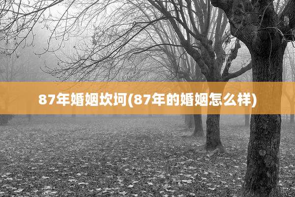 87年婚姻坎坷(87年的婚姻怎么样)