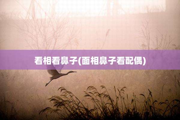 看相看鼻子(面相鼻子看配偶)