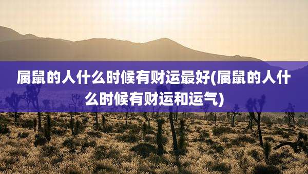 属鼠的人什么时候有财运最好(属鼠的人什么时候有财运和运气)