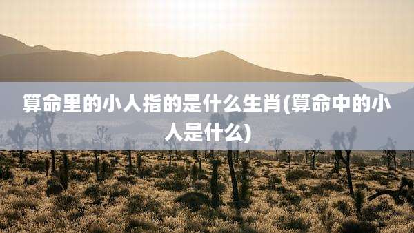 算命里的小人指的是什么生肖(算命中的小人是什么)
