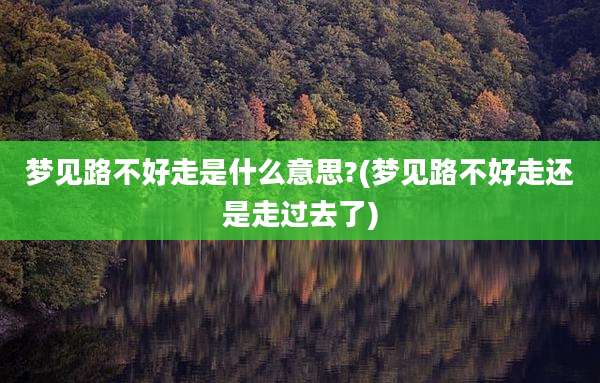 梦见路不好走是什么意思?(梦见路不好走还是走过去了)