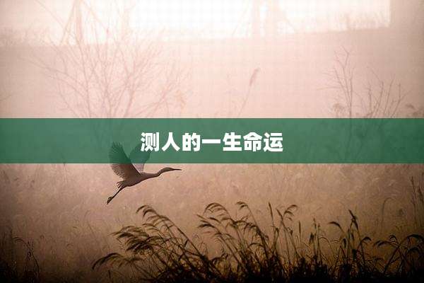 测人的一生命运