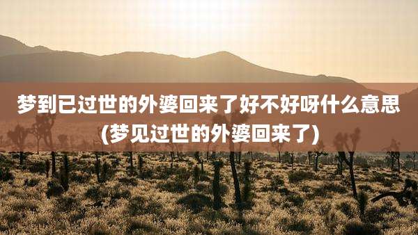 梦到已过世的外婆回来了好不好呀什么意思(梦见过世的外婆回来了)