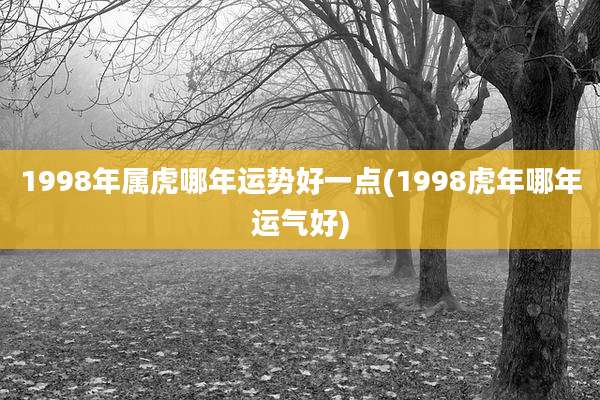 1998年属虎哪年运势好一点(1998虎年哪年运气好)