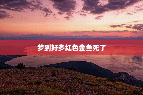 梦到好多红色金鱼死了