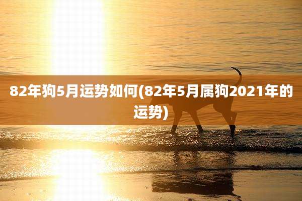 82年狗5月运势如何(82年5月属狗2021年的运势)