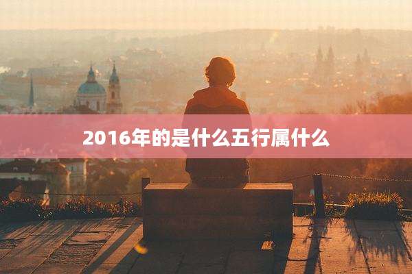 2016年的是什么五行属什么