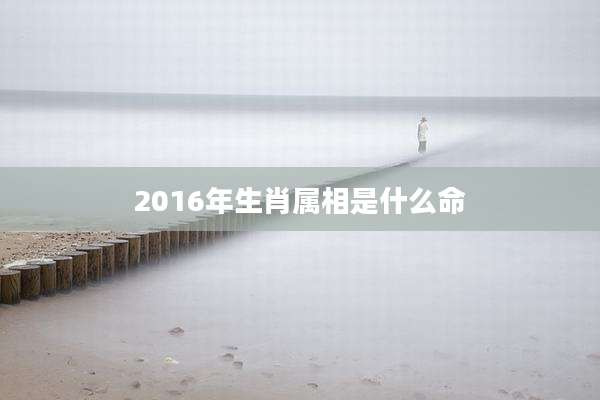 2016年生肖属相是什么命
