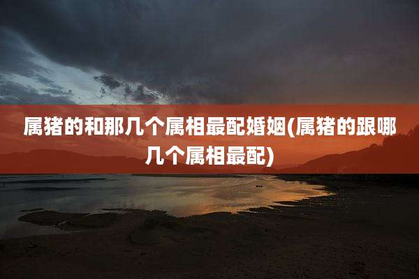 属猪的和那几个属相最配婚姻(属猪的跟哪几个属相最配)