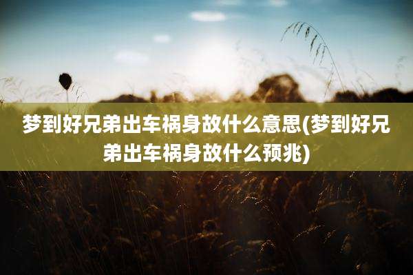梦到好兄弟出车祸身故什么意思(梦到好兄弟出车祸身故什么预兆)