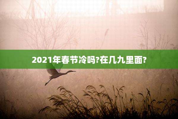 2021年春节冷吗?在几九里面?
