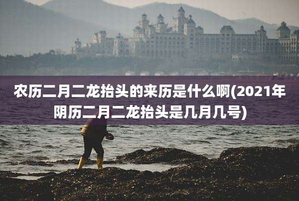 农历二月二龙抬头的来历是什么啊(2021年阴历二月二龙抬头是几月几号)