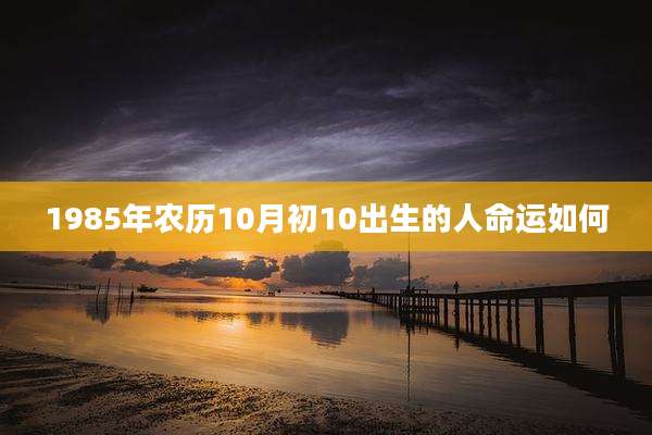 1985年农历10月初10出生的人命运如何