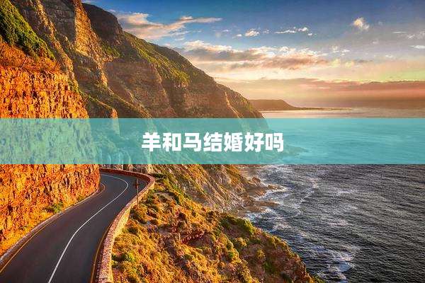 羊和马结婚好吗