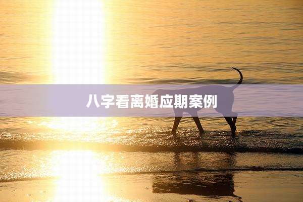 八字看离婚应期案例