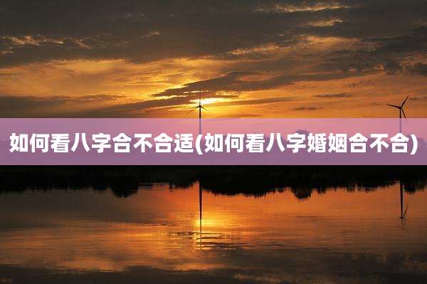 如何看八字合不合适(如何看八字婚姻合不合)
