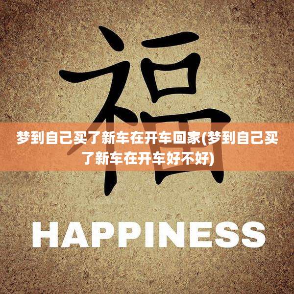 梦到自己买了新车在开车回家(梦到自己买了新车在开车好不好)