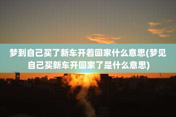 梦到自己买了新车开着回家什么意思(梦见自己买新车开回家了是什么意思)