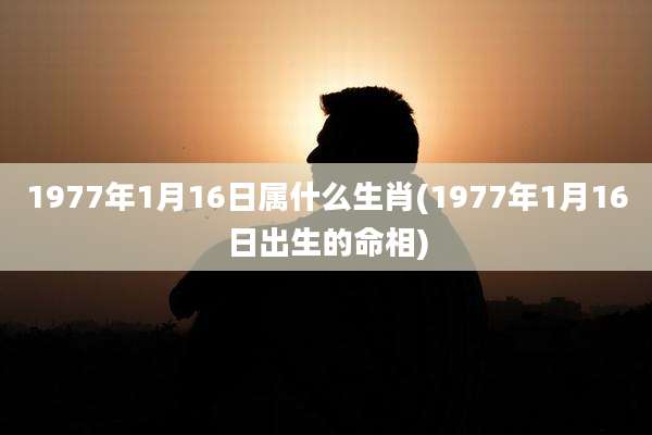1977年1月16日属什么生肖(1977年1月16日出生的命相)