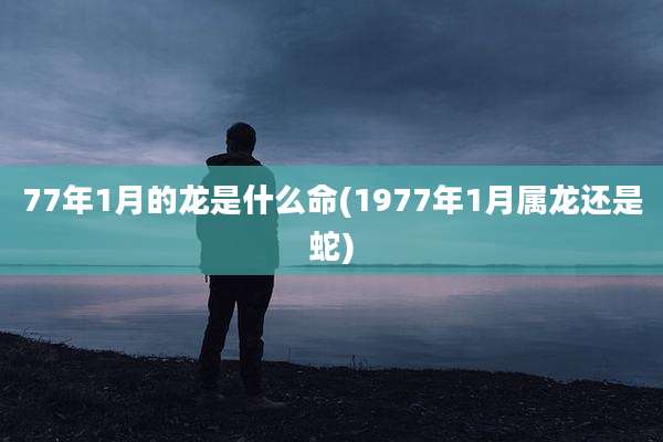 77年1月的龙是什么命(1977年1月属龙还是蛇)