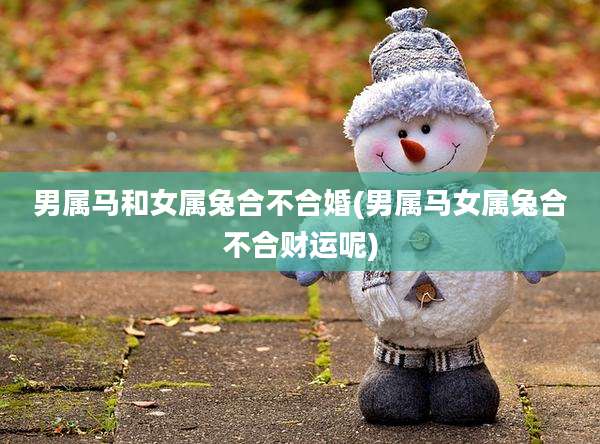 男属马和女属兔合不合婚(男属马女属兔合不合财运呢)