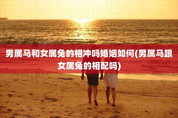 男属马和女属兔的相冲吗婚姻如何(男属马跟女属兔的相配吗)