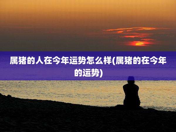 属猪的人在今年运势怎么样(属猪的在今年的运势)