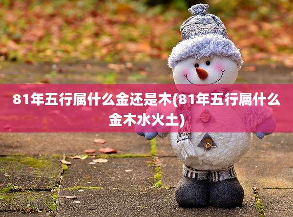 81年五行属什么金还是木(81年五行属什么金木水火土)