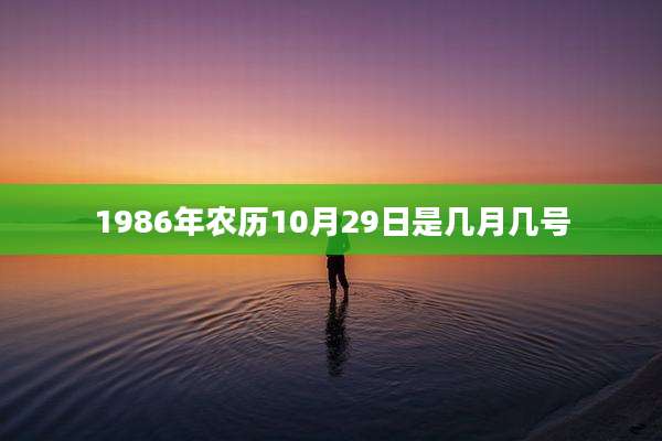 1986年农历10月29日是几月几号