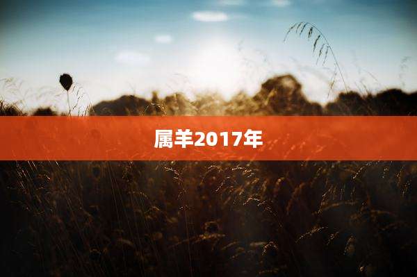属羊2017年