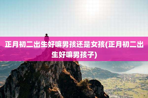 正月初二出生好嘛男孩还是女孩(正月初二出生好嘛男孩子)