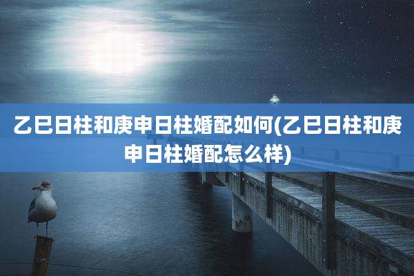 乙巳日柱和庚申日柱婚配如何(乙巳日柱和庚申日柱婚配怎么样)