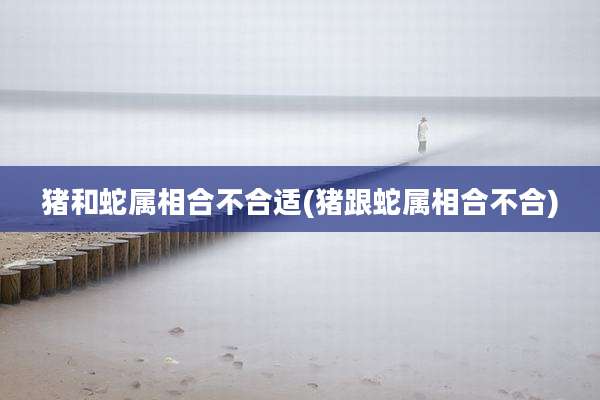 猪和蛇属相合不合适(猪跟蛇属相合不合)