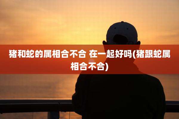 猪和蛇的属相合不合 在一起好吗(猪跟蛇属相合不合)