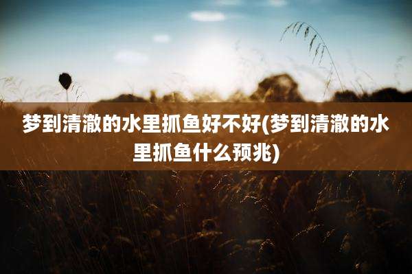 梦到清澈的水里抓鱼好不好(梦到清澈的水里抓鱼什么预兆)
