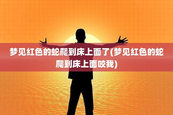 梦见红色的蛇爬到床上面了(梦见红色的蛇爬到床上面咬我)